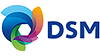 DSMLogo100