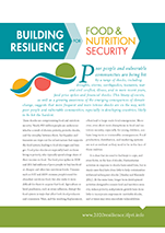 Cover image of the 2020 resilience conference brochure - links to brochure page on ifpri.org