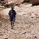 Young farmer with cattle in Abergelle Amhara, Ethiopia.