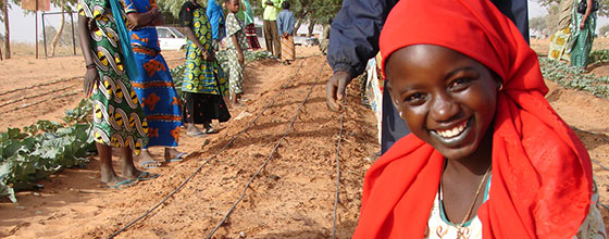 Woman with red head shawl works on drip irrigation project